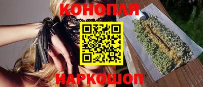 apvp Кингисепп