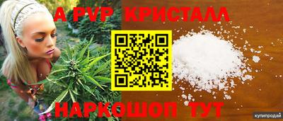 apvp Кингисепп