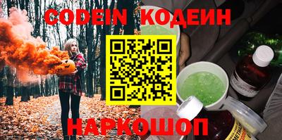 apvp Кингисепп